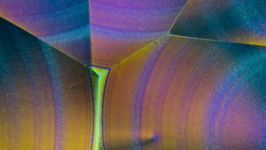 The Difference Between Vitamin C And Ascorbic Acid